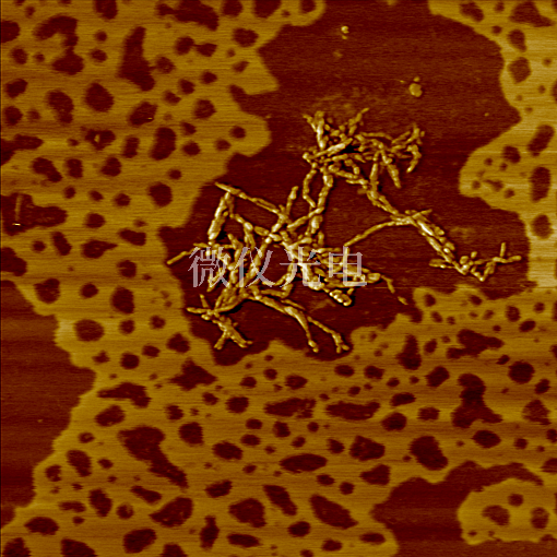 AFM原子力顯微鏡可以檢測哪些產(chǎn)品？六大領(lǐng)域應(yīng)用全解析